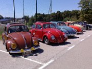 Beetle Show Rioz (85)